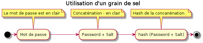 Principe du grain de sel